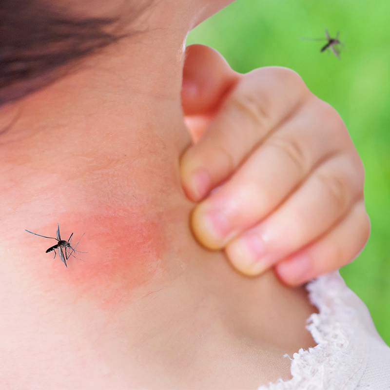 mosquito control in tupelo